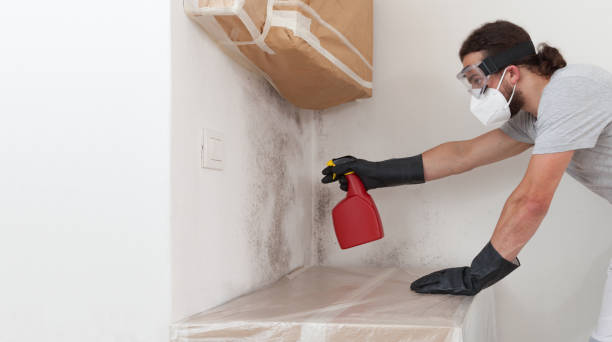 Professional Crawl Space Mold Remediation technician working in Boxford, MA