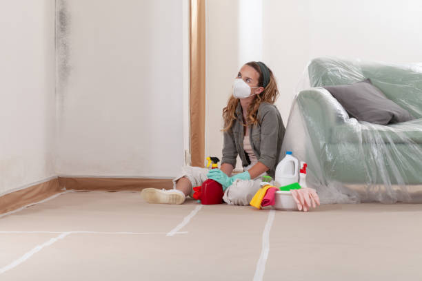 Reliable Crawl Space Mold Remediation contractor in Boxford, MA by Mold Remediation HQ