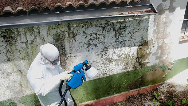 Top rated local Crawl Space Mold Remediation specialists in Boxford, MA